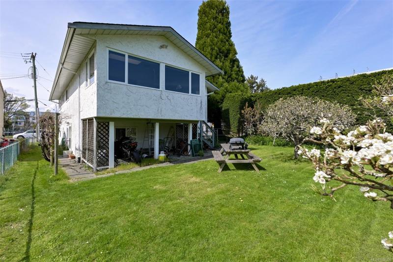 第9幅图片