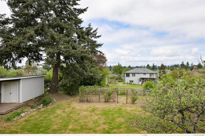 第19幅图片