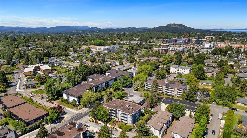 第21幅图片