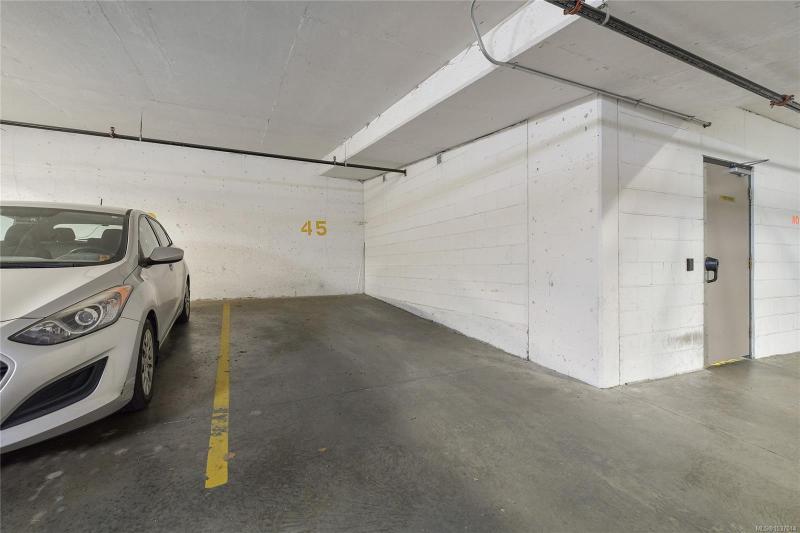 第23幅图片