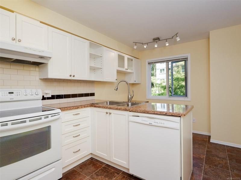 第5幅图片