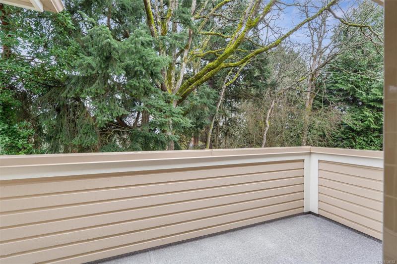 第10幅图片