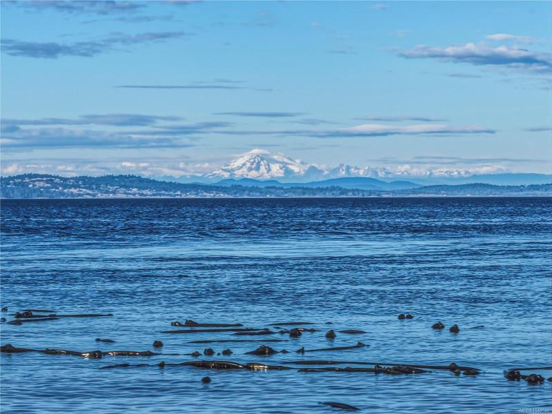 第14幅图片