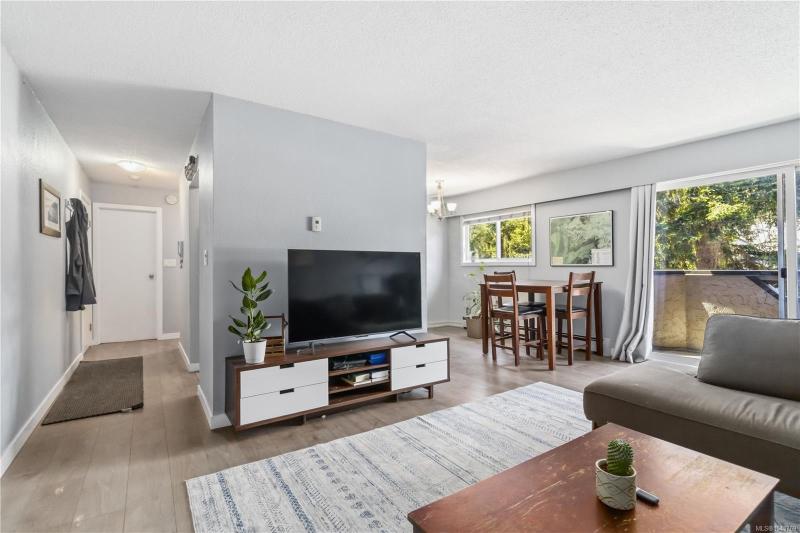 第6幅图片