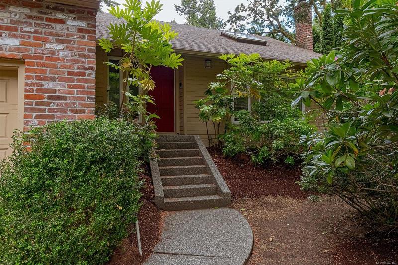 第9幅图片