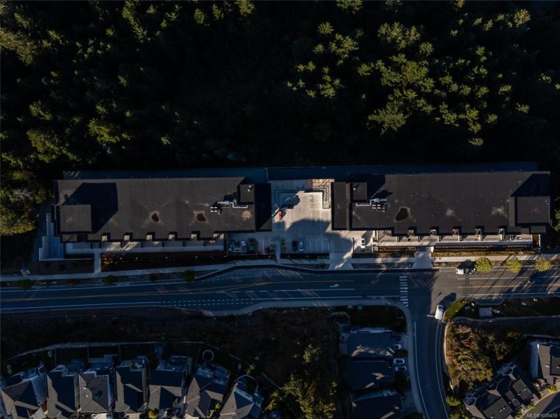第35幅图片