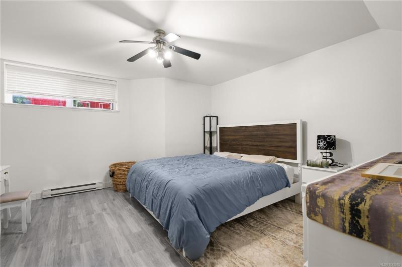 第33幅图片