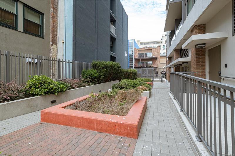 第33幅图片