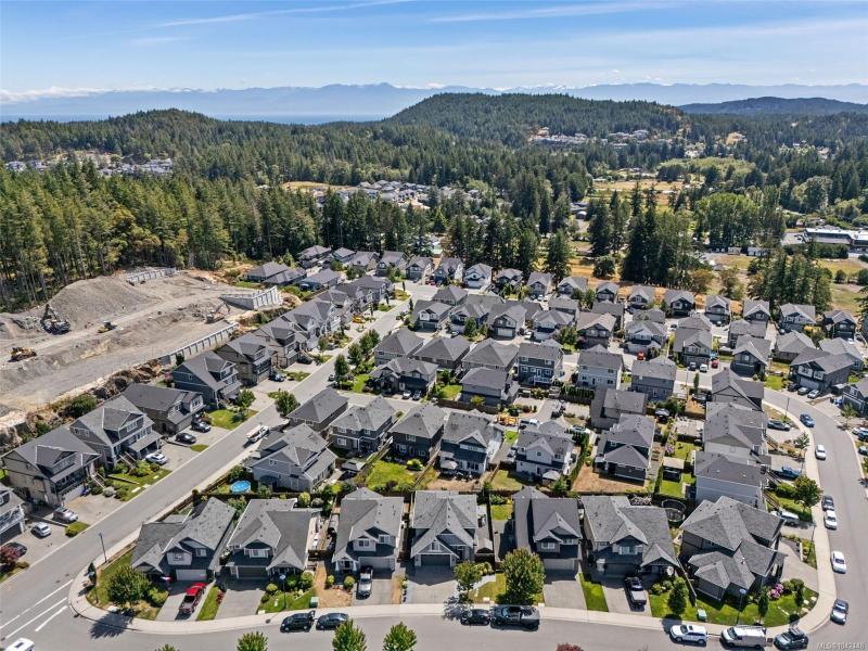 第30幅图片