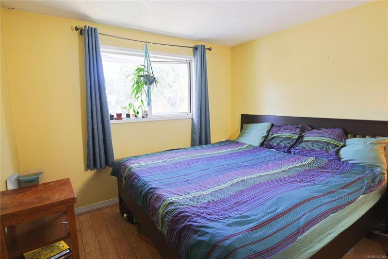 第12幅图片