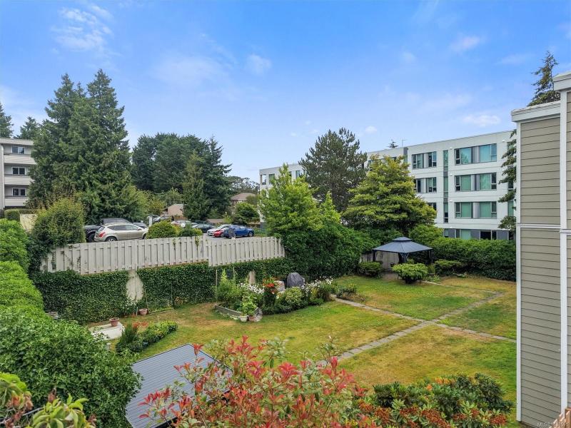 第23幅图片