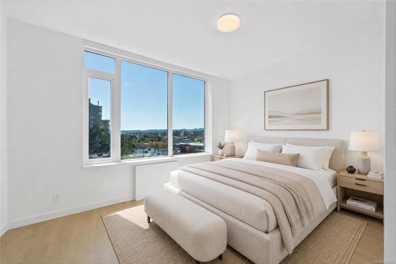 第22幅图片