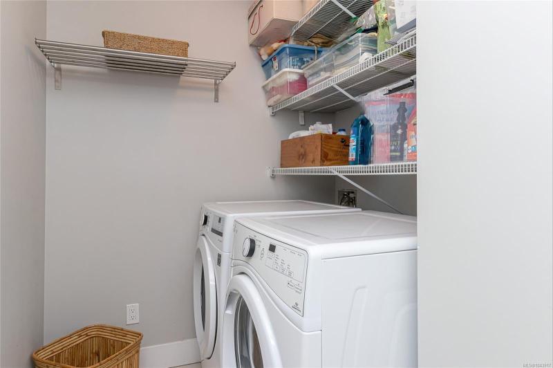 第23幅图片
