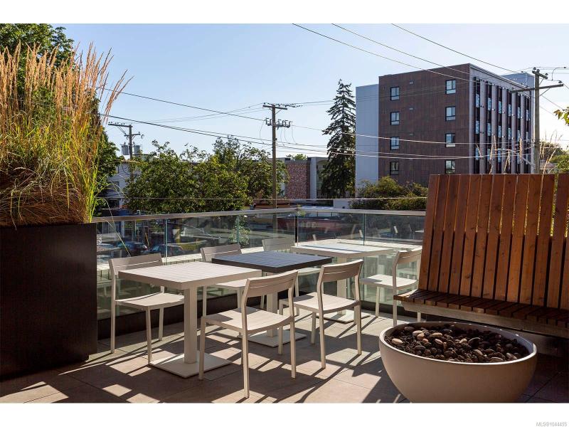第26幅图片