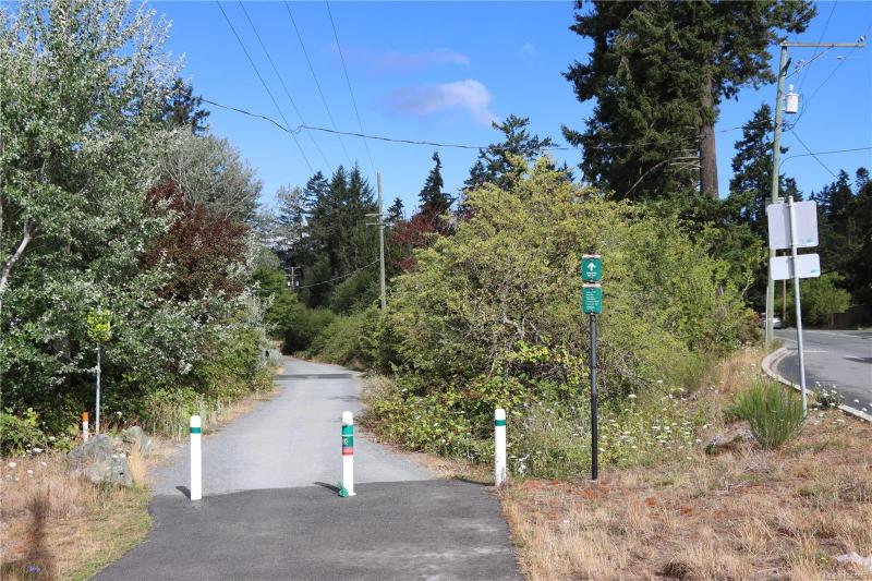 第13幅图片