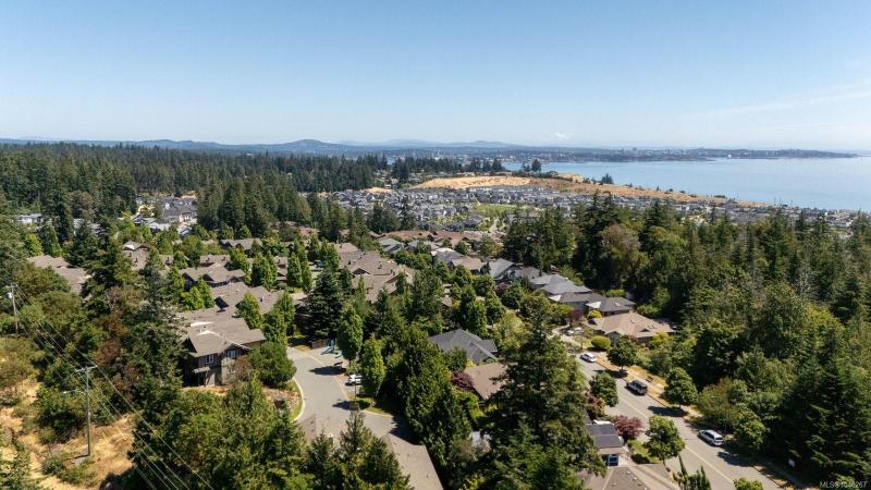 第33幅图片