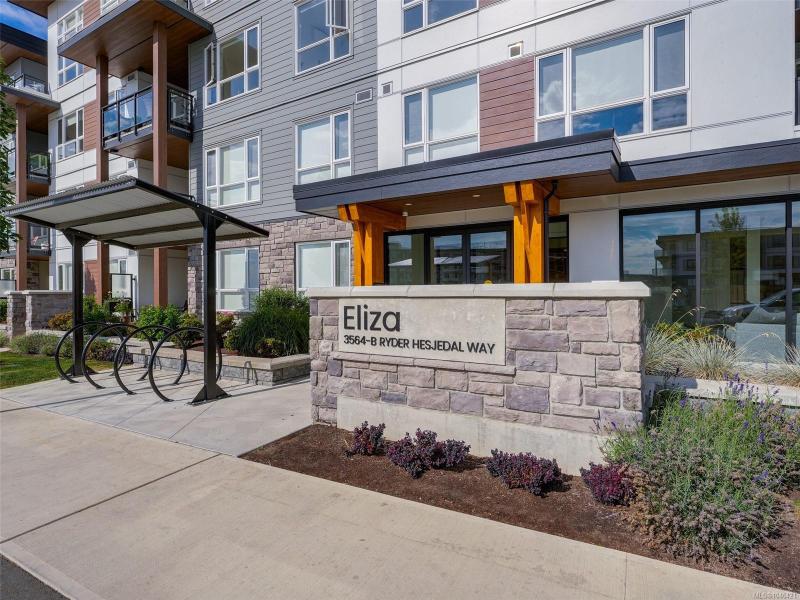第17幅图片