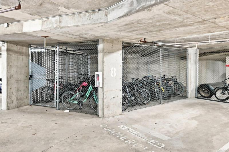 第17幅图片