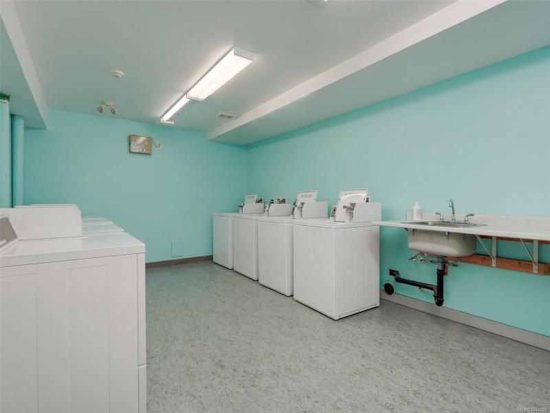 第21幅图片
