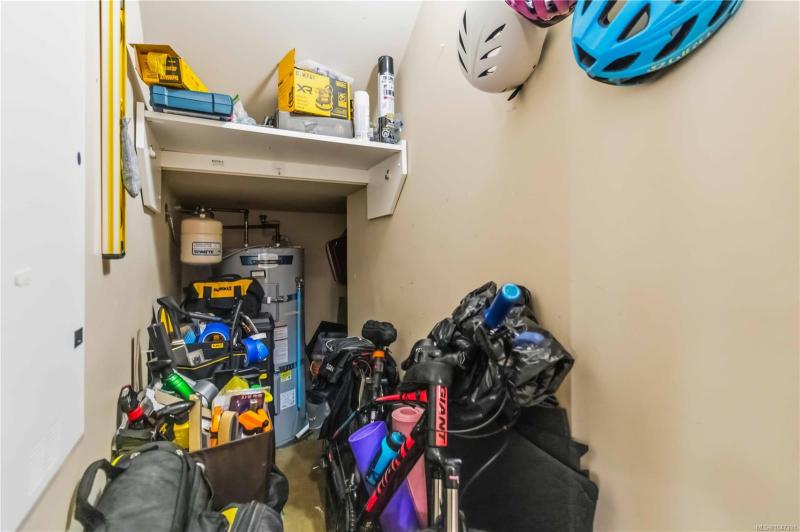 第21幅图片