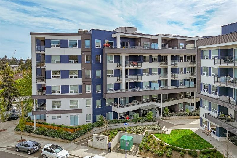 第3幅图片