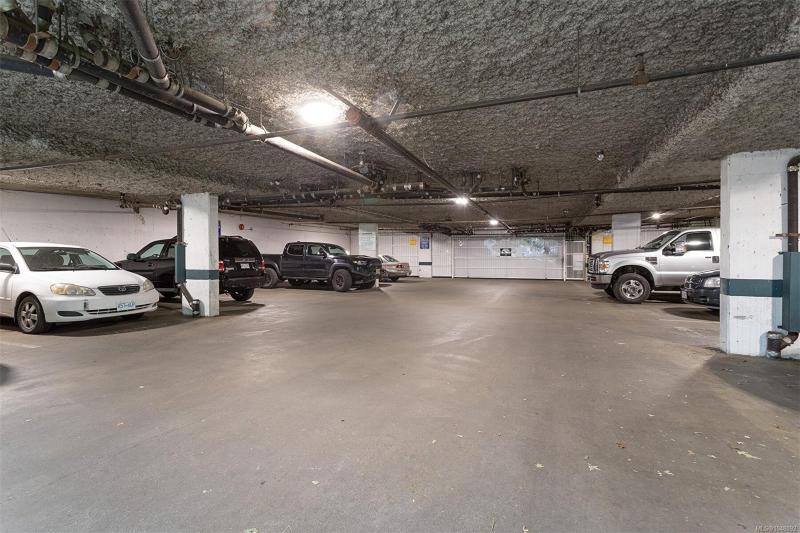 第37幅图片