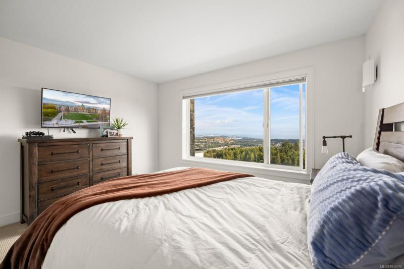 第31幅图片