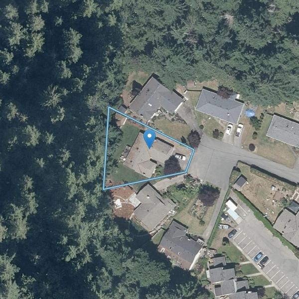 第33幅图片