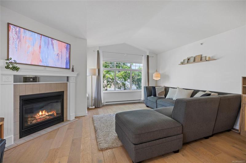 第5幅图片
