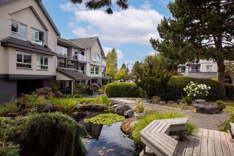 第19幅图片