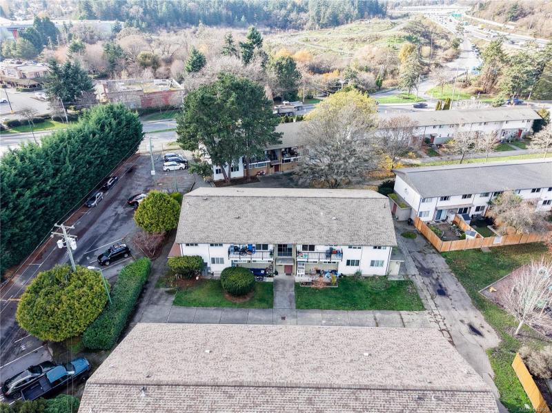 第19幅图片