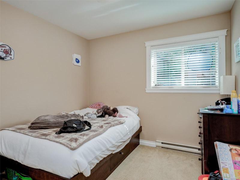 第32幅图片