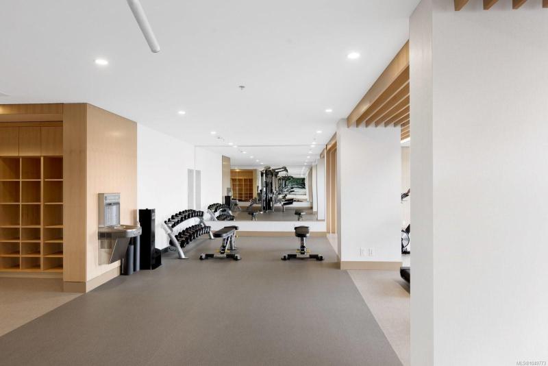 第38幅图片