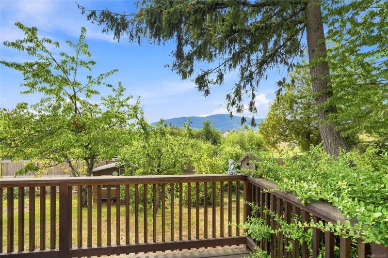 第5幅图片