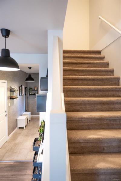 第23幅图片