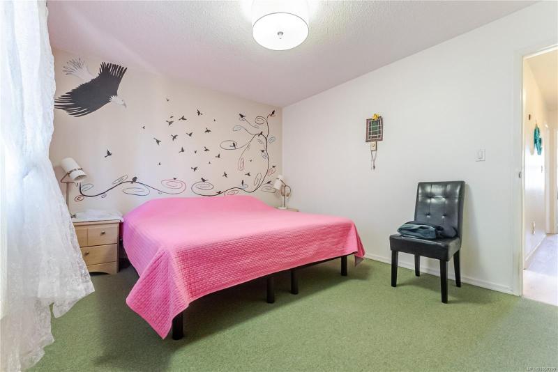 第17幅图片