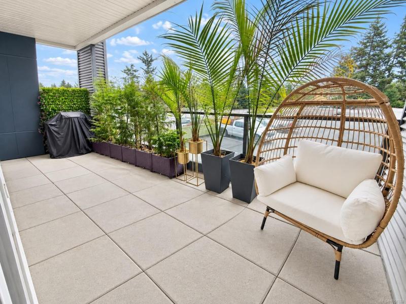第14幅图片