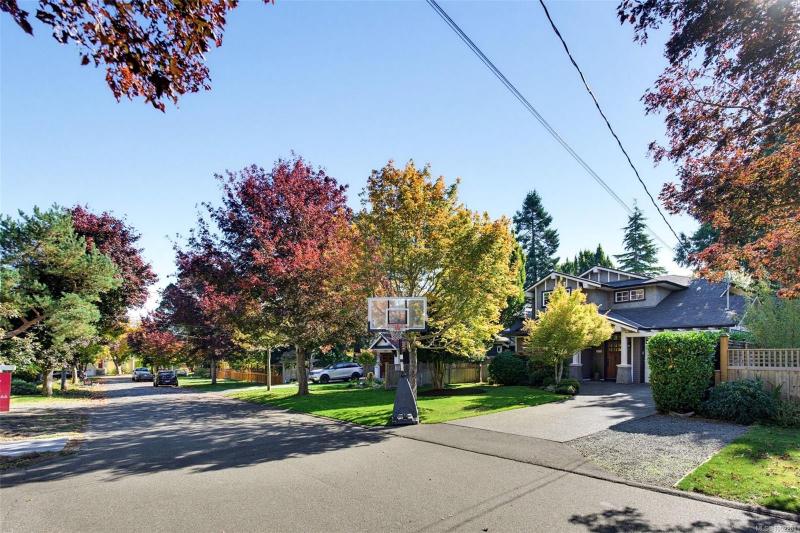第11幅图片