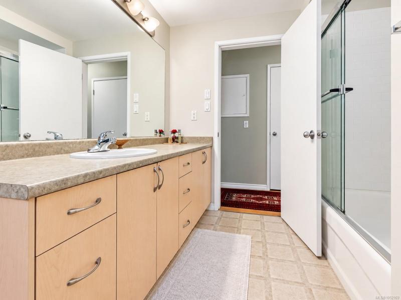 第13幅图片