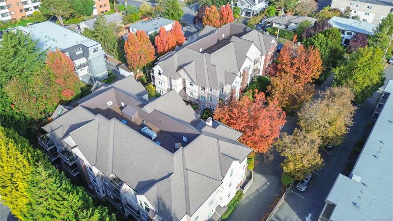 第37幅图片