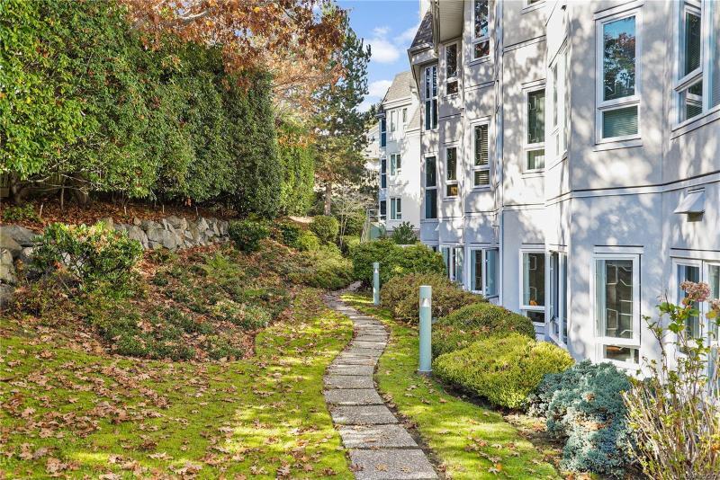 第4幅图片